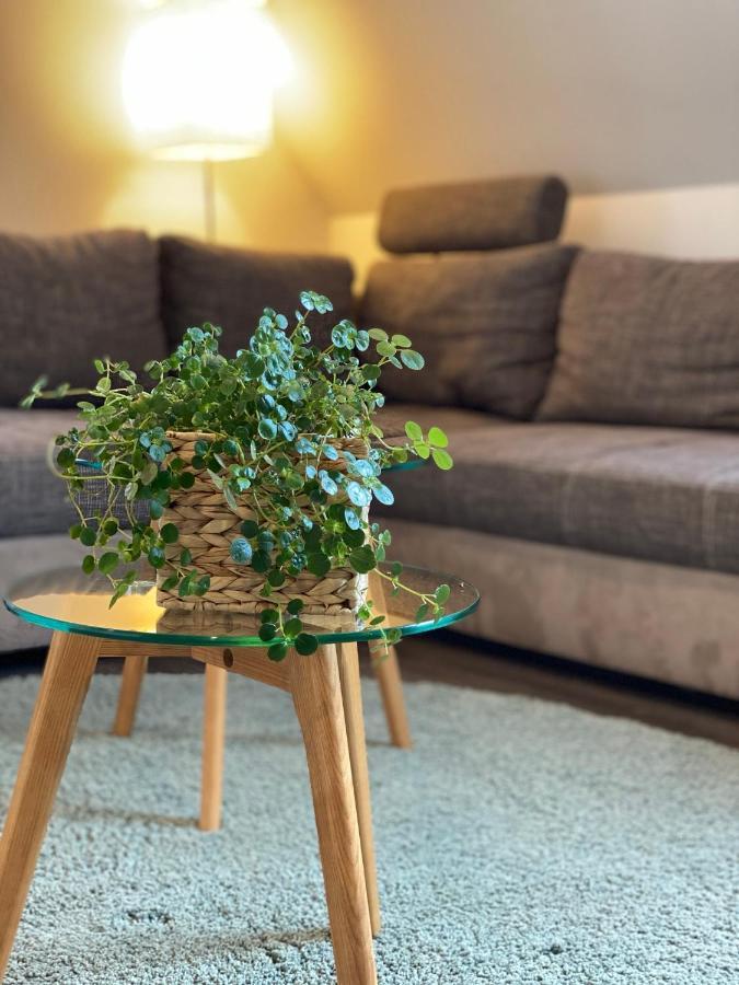 Fewo Sulzer Siedlung Erfurt "Haus 6" Daire Dış mekan fotoğraf